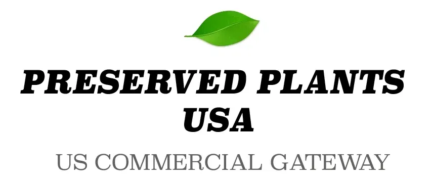 Preserved Plants USA