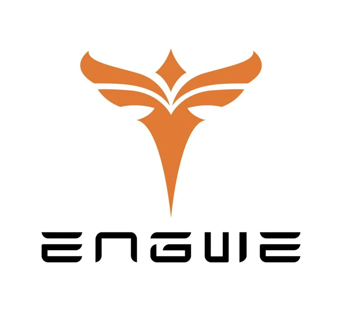 engwe uk