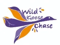 wildgoosechasegifts.com