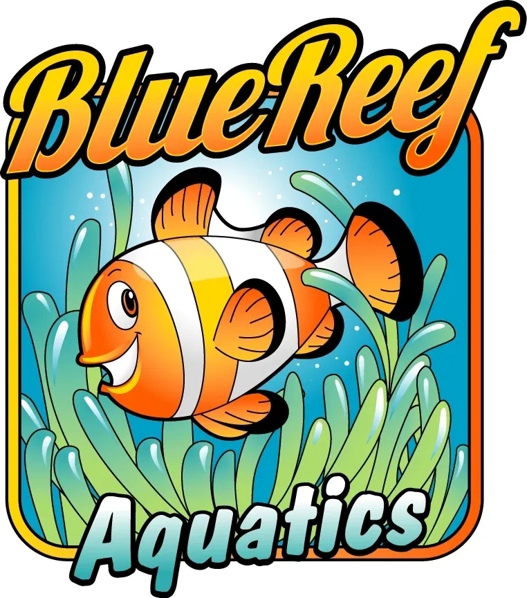 Blue Reef Aquatics