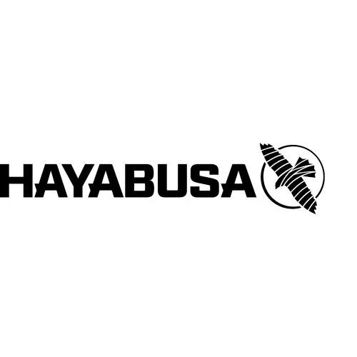 Hayabusa Fight