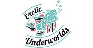 Exotic Underworld