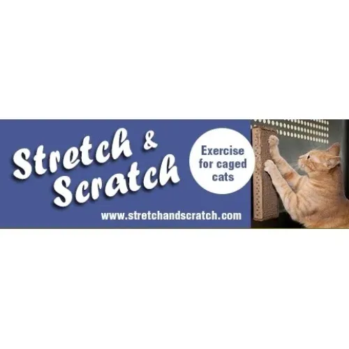 Stretch and Scratch