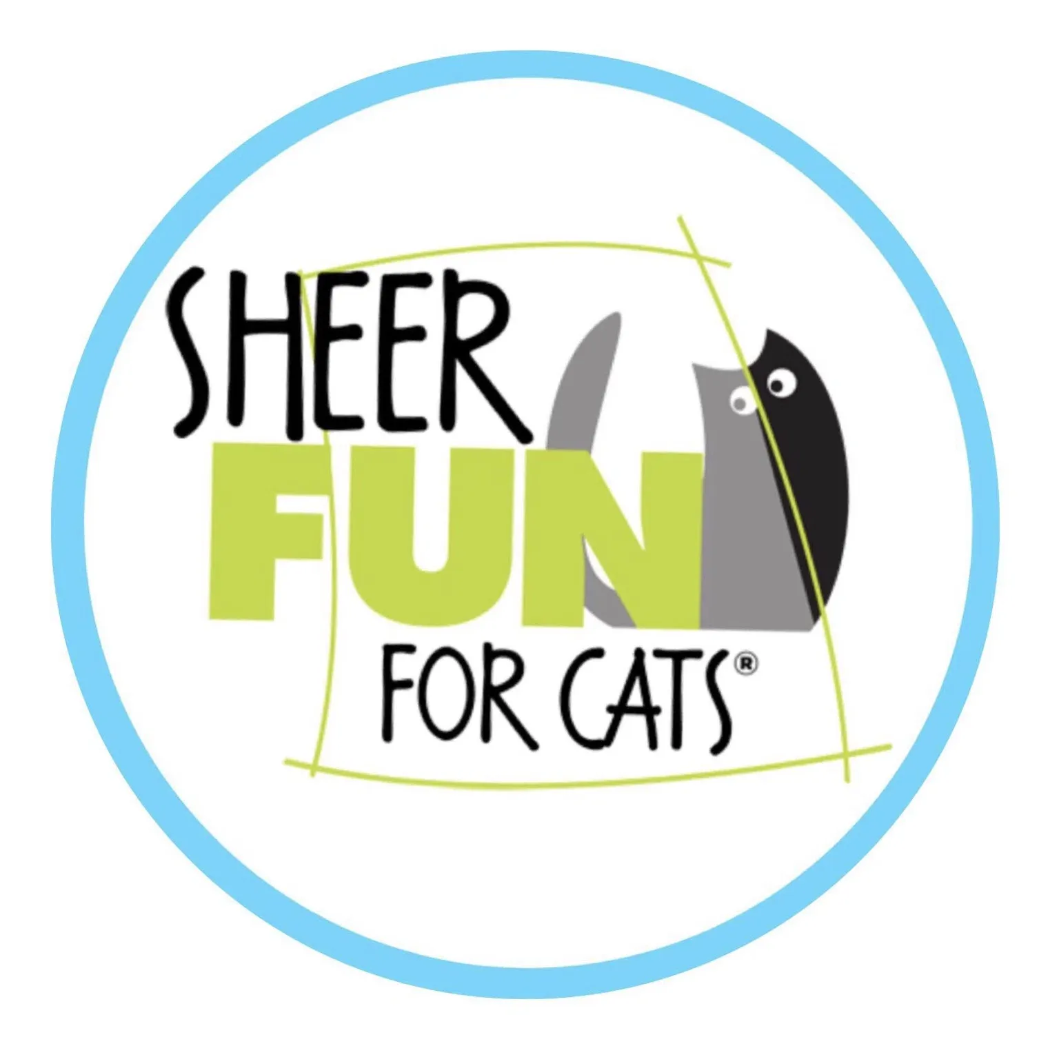 Sheer Fun For Cats