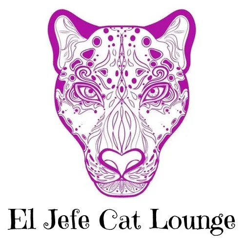 El Jefe Cat Lounge