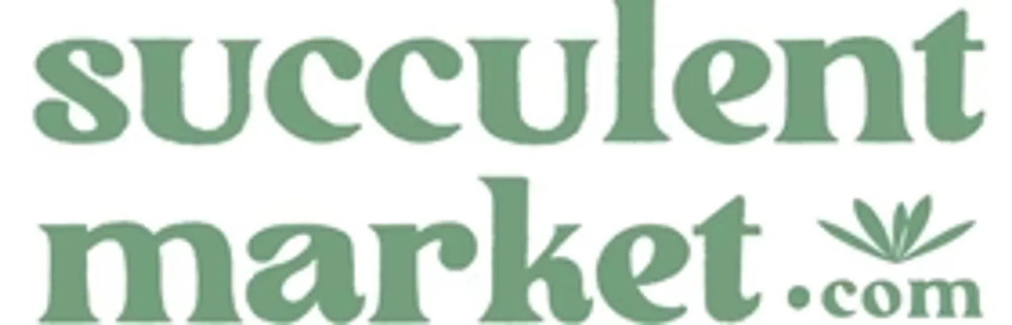 Succulent Market