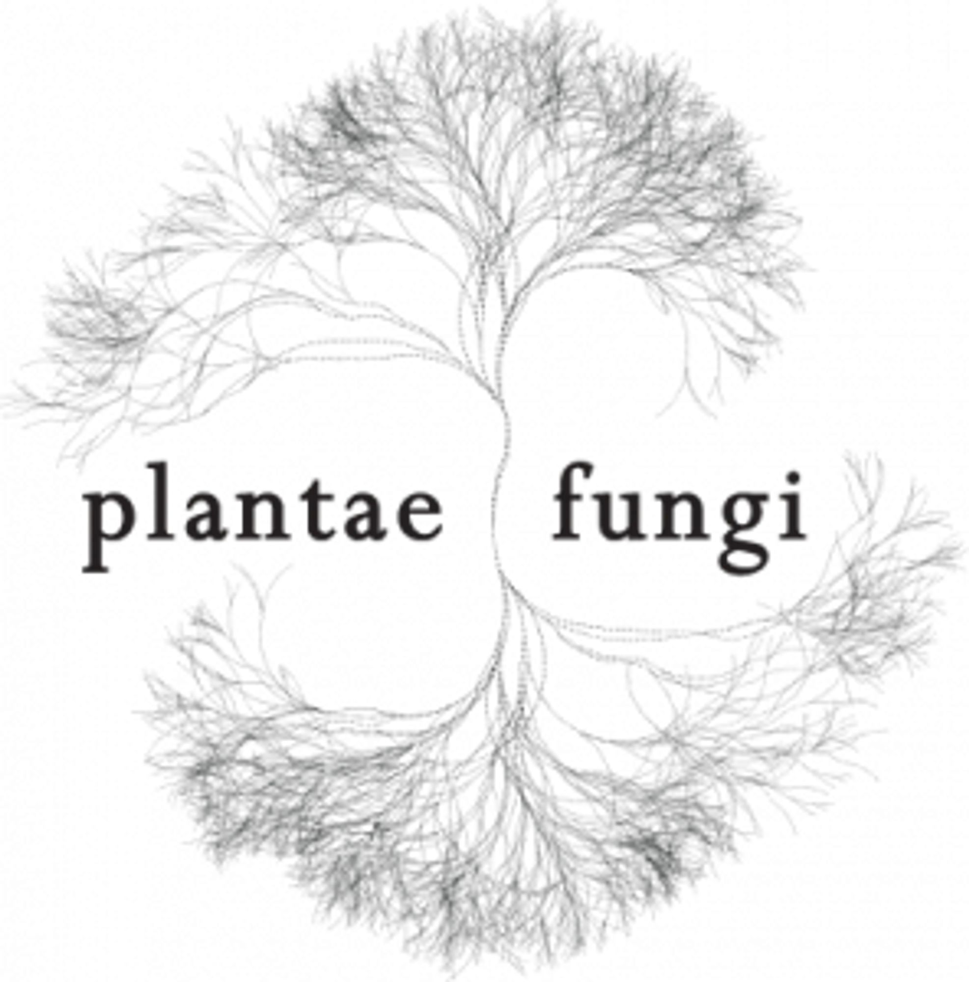 Plantae Fungi