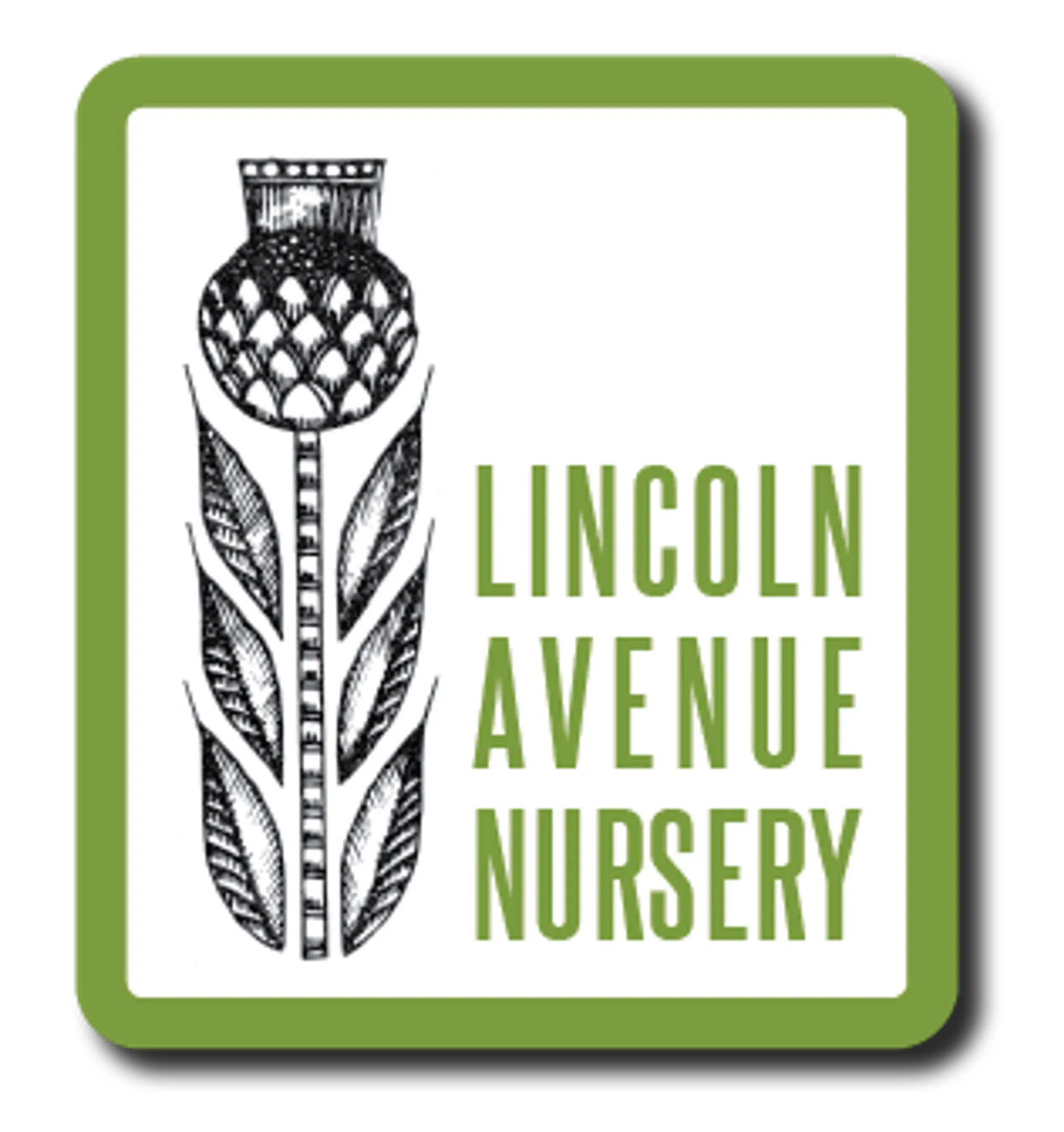 lincolnavenuenursery.com