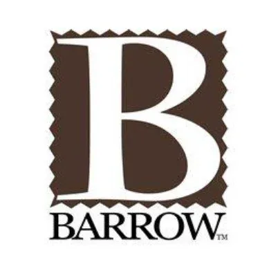 Brrow Industries