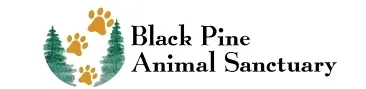 Black Pine Animal Sanctuary