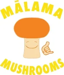 Mushrooms Mushroom