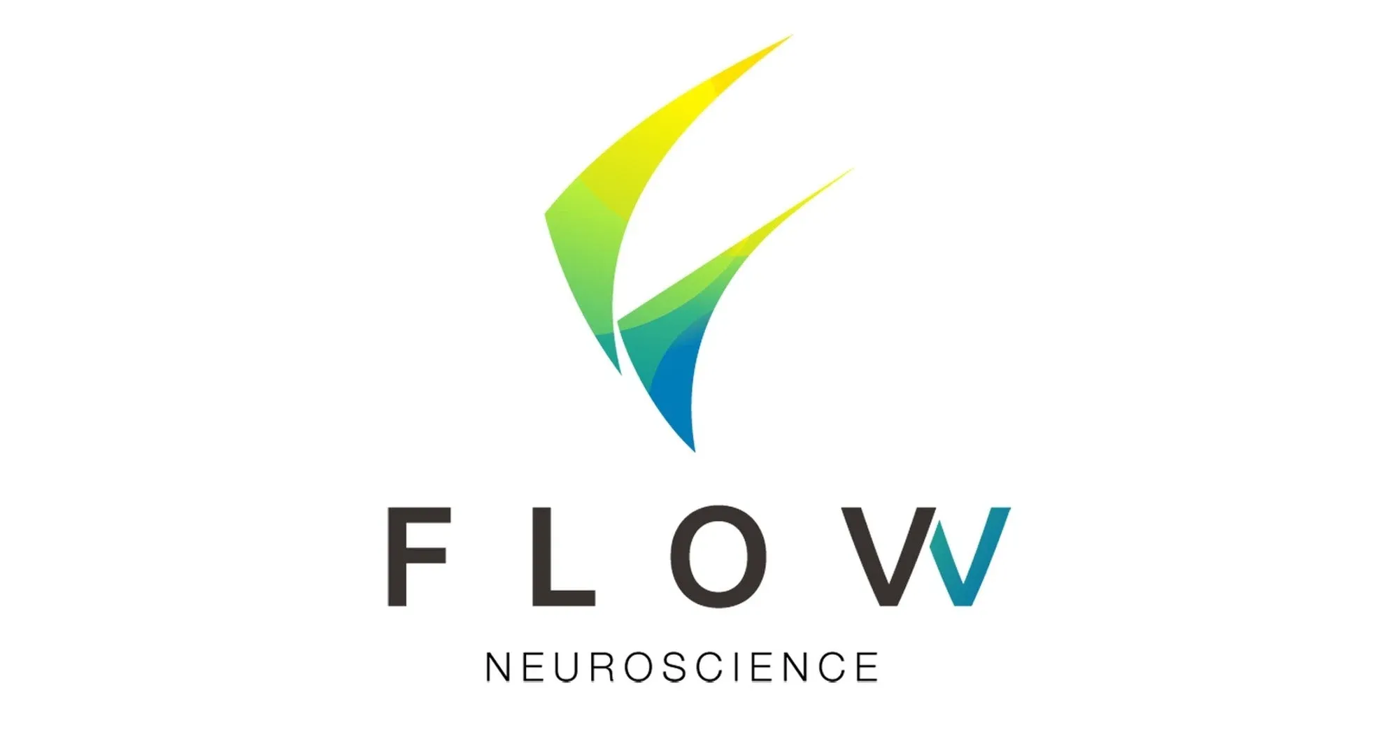 Flow Neuroscience