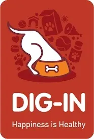 Dig In