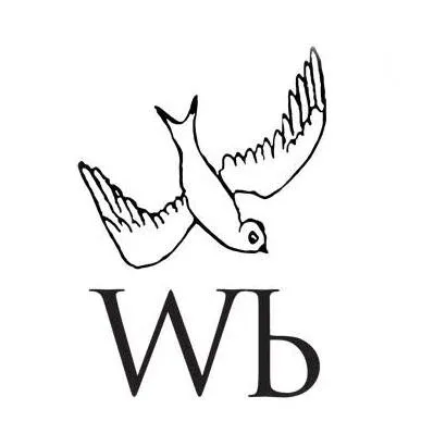 whitebirdjewellery.com