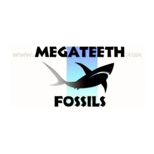 MegaTeeth