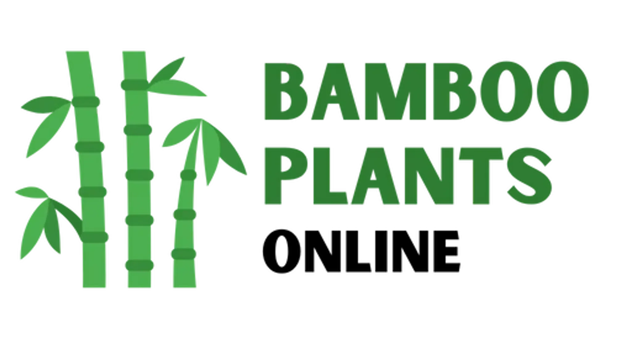 Bamboo Plants Online