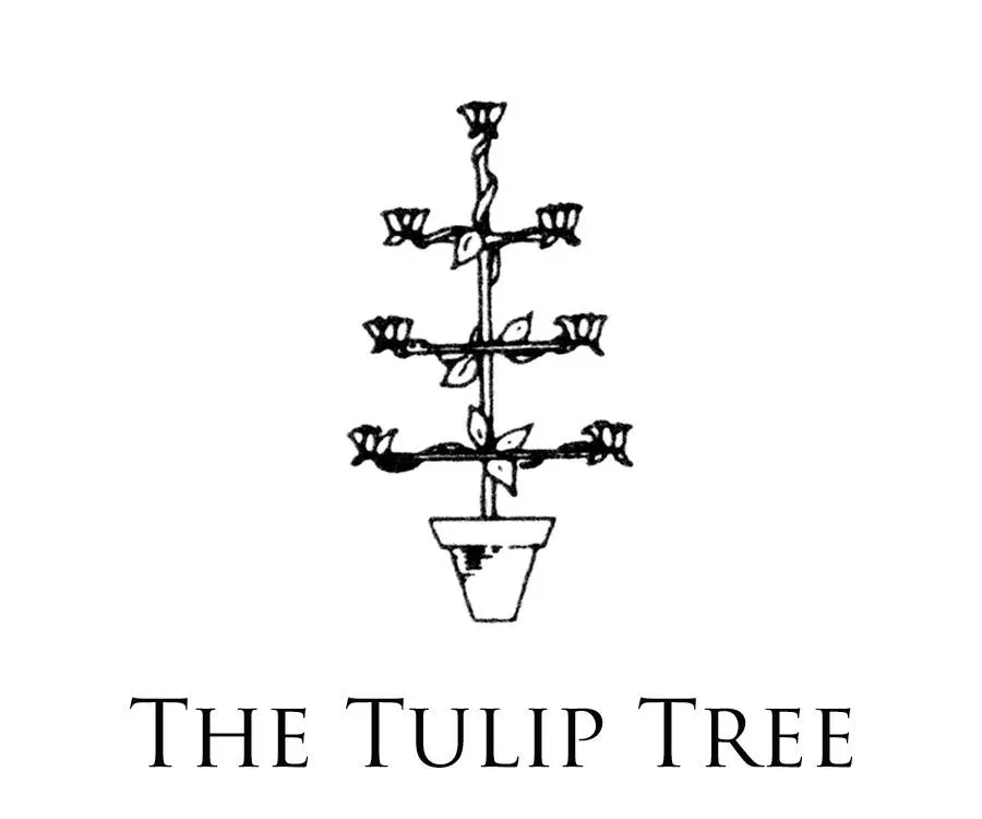 The Tulip Tree