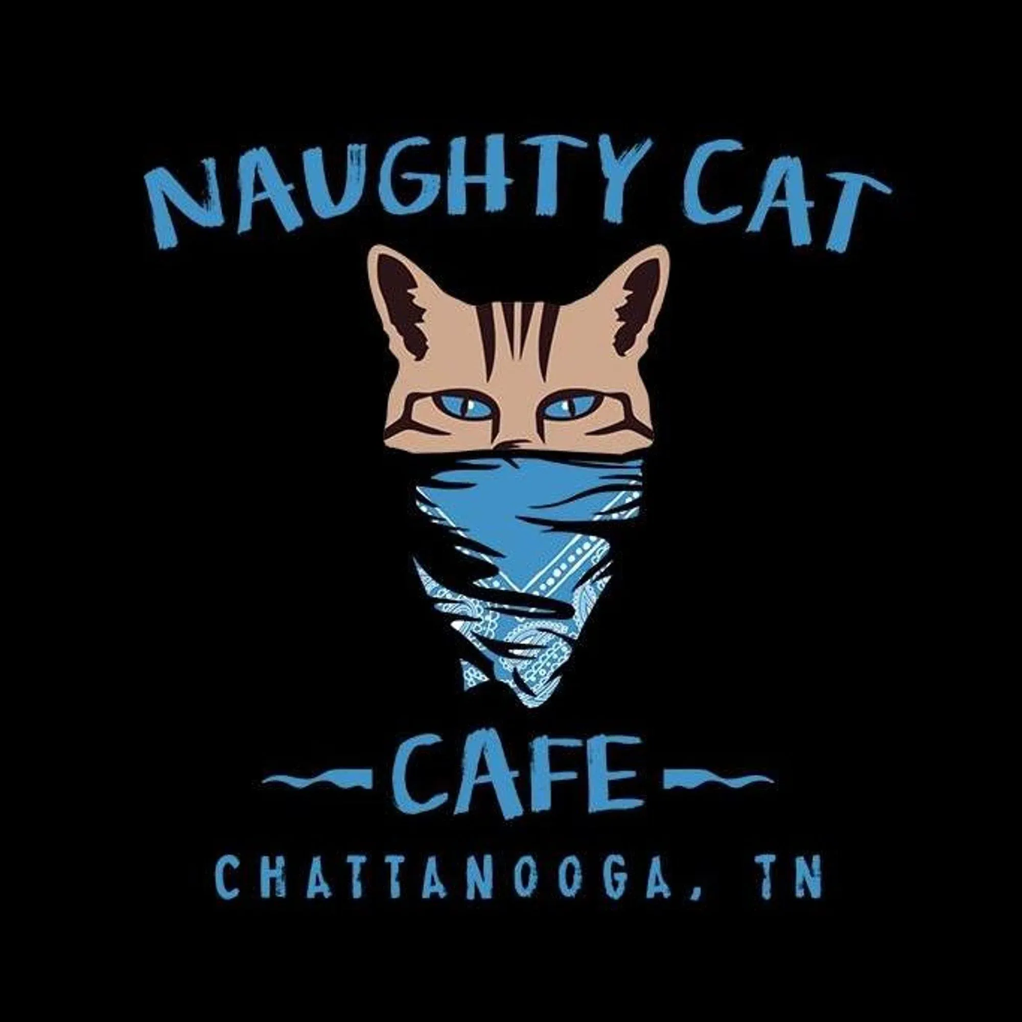 NAUGHTY CAT CAFE