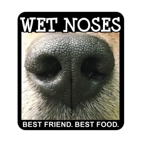 Wet Noses