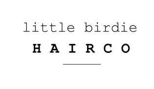 Little Birdie Hair Co