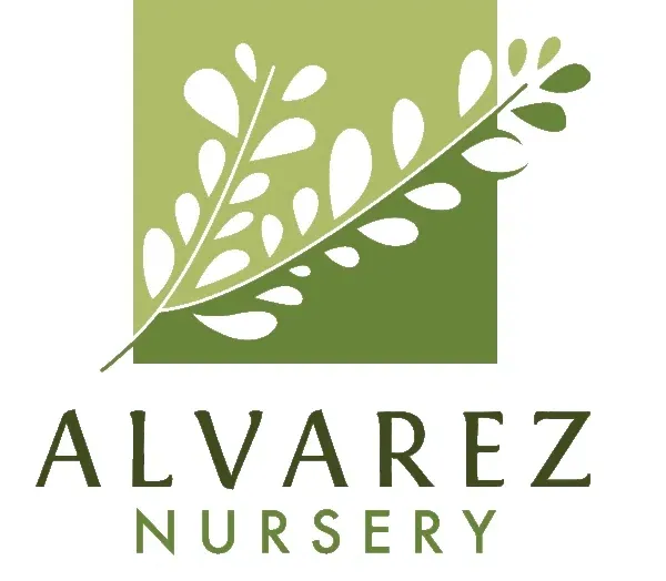 alvareznursery.com