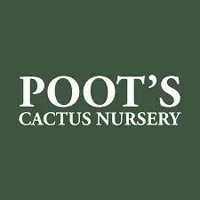 pootscactusnursery.com