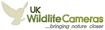 UK Wildlife Cameras