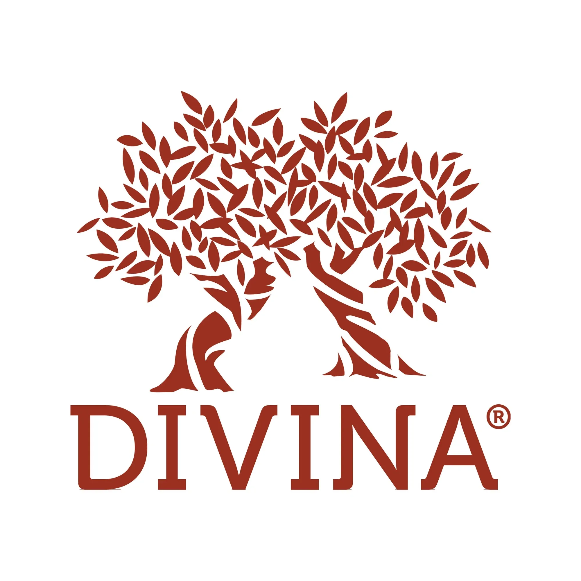 Divina Market