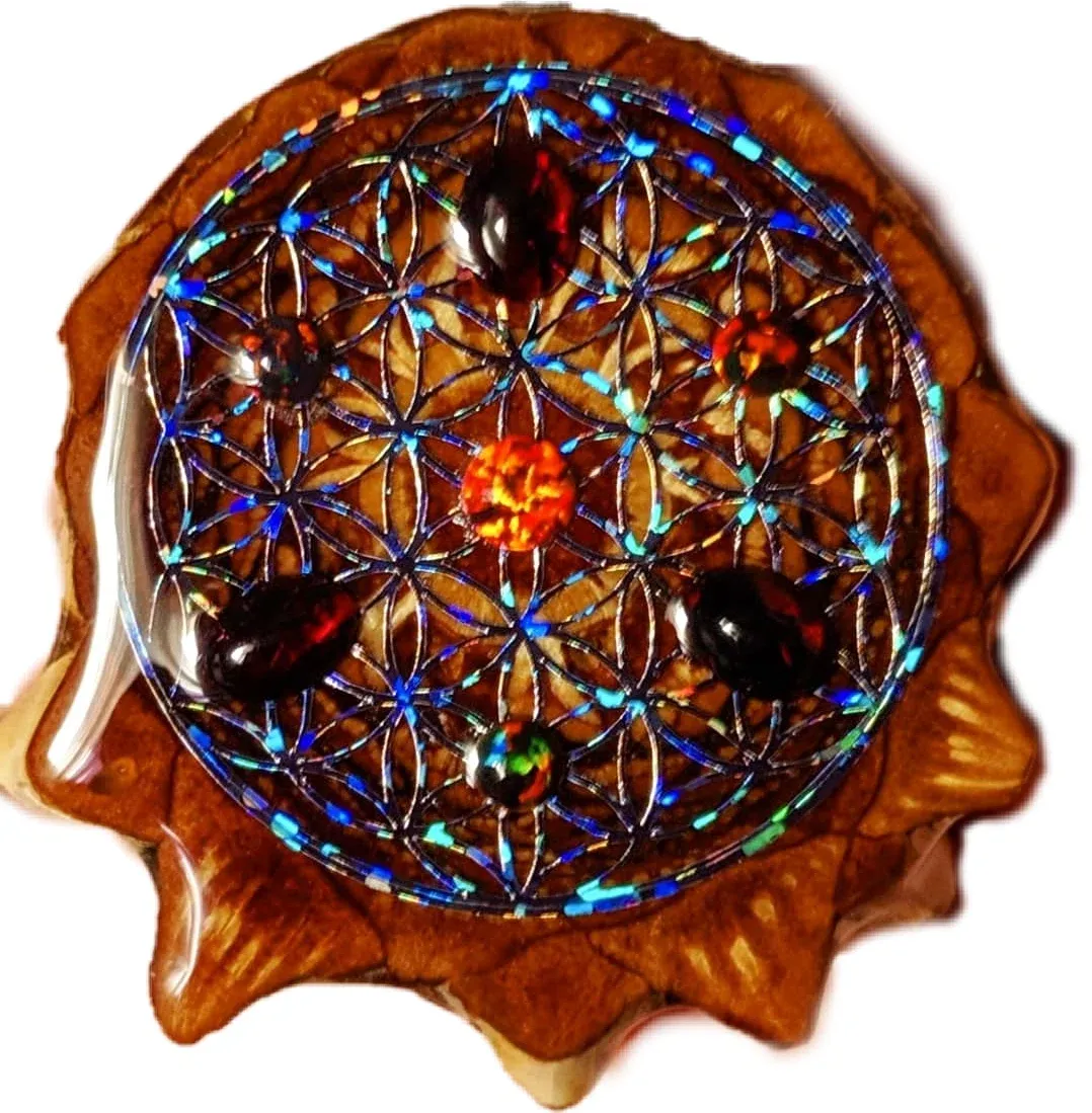 Pineal Pinecone