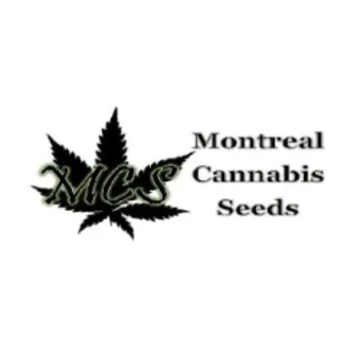 Montreal Cannabis Seeds