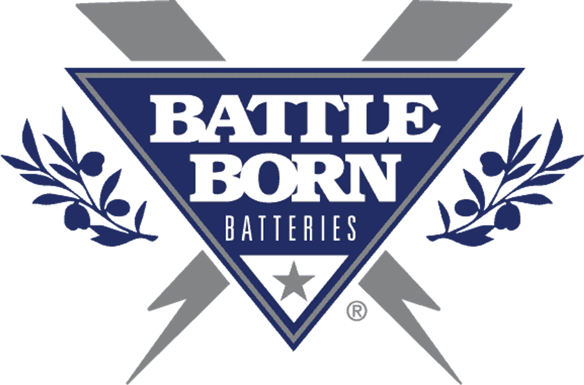 Battle Born Batteries