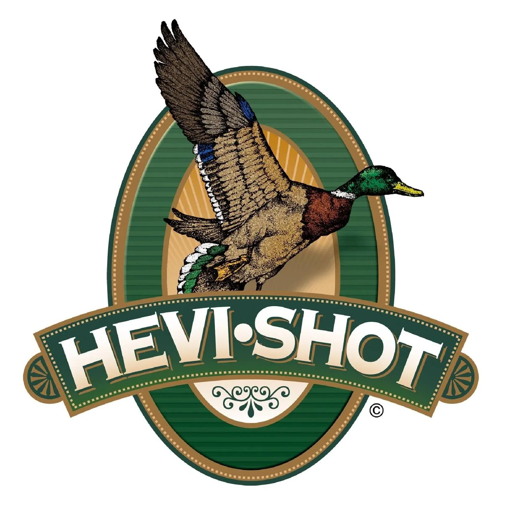 HEVI-Shot