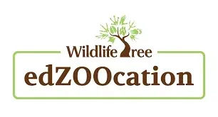 edzoocation.com