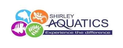 Shirley Aquatics