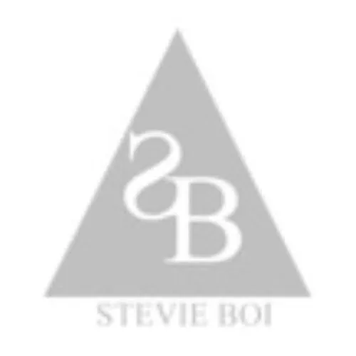 Stevie Boi