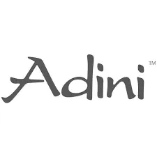 Adini