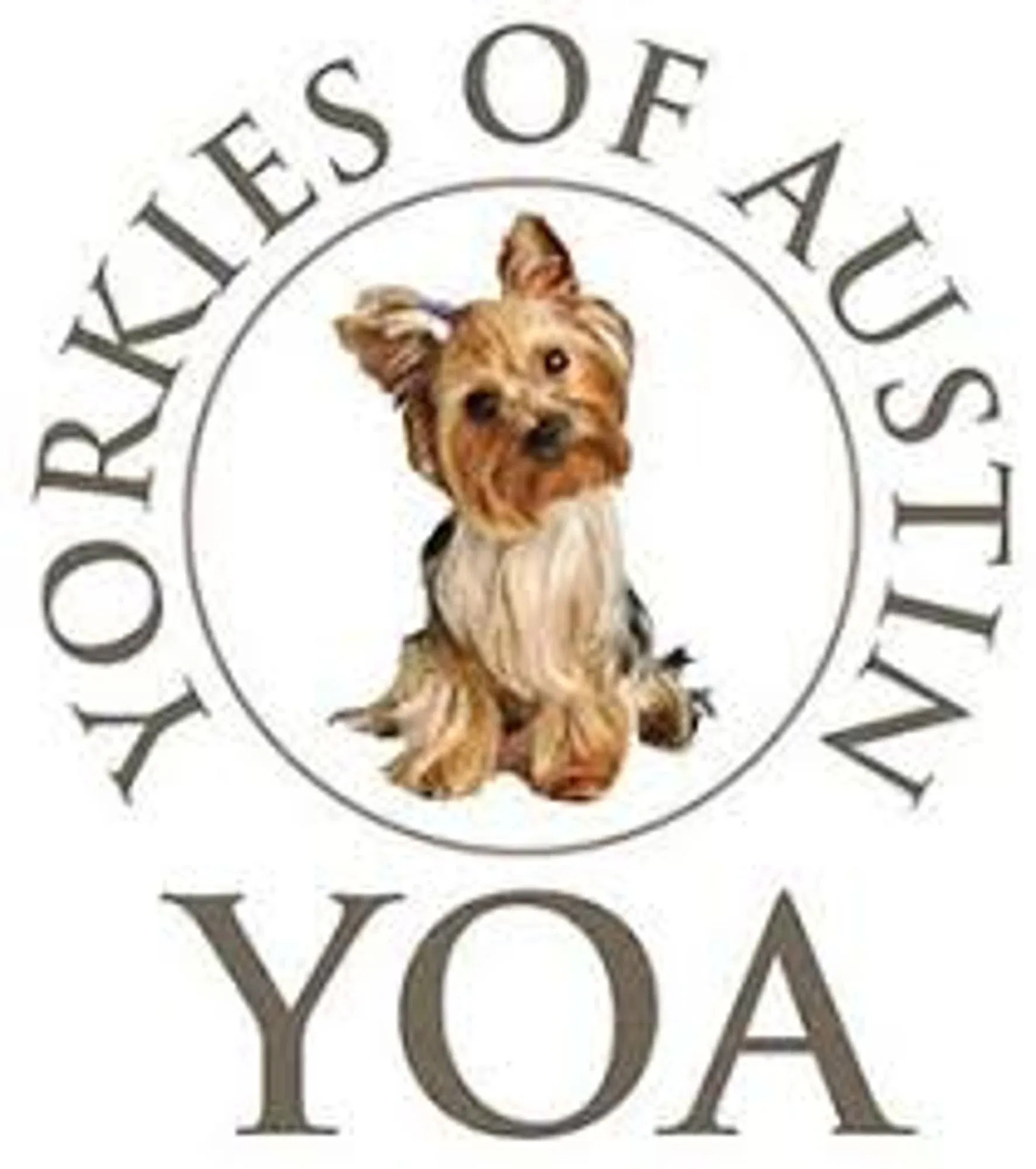 yorkieofaustin.com