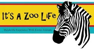 Its A Zoo Life