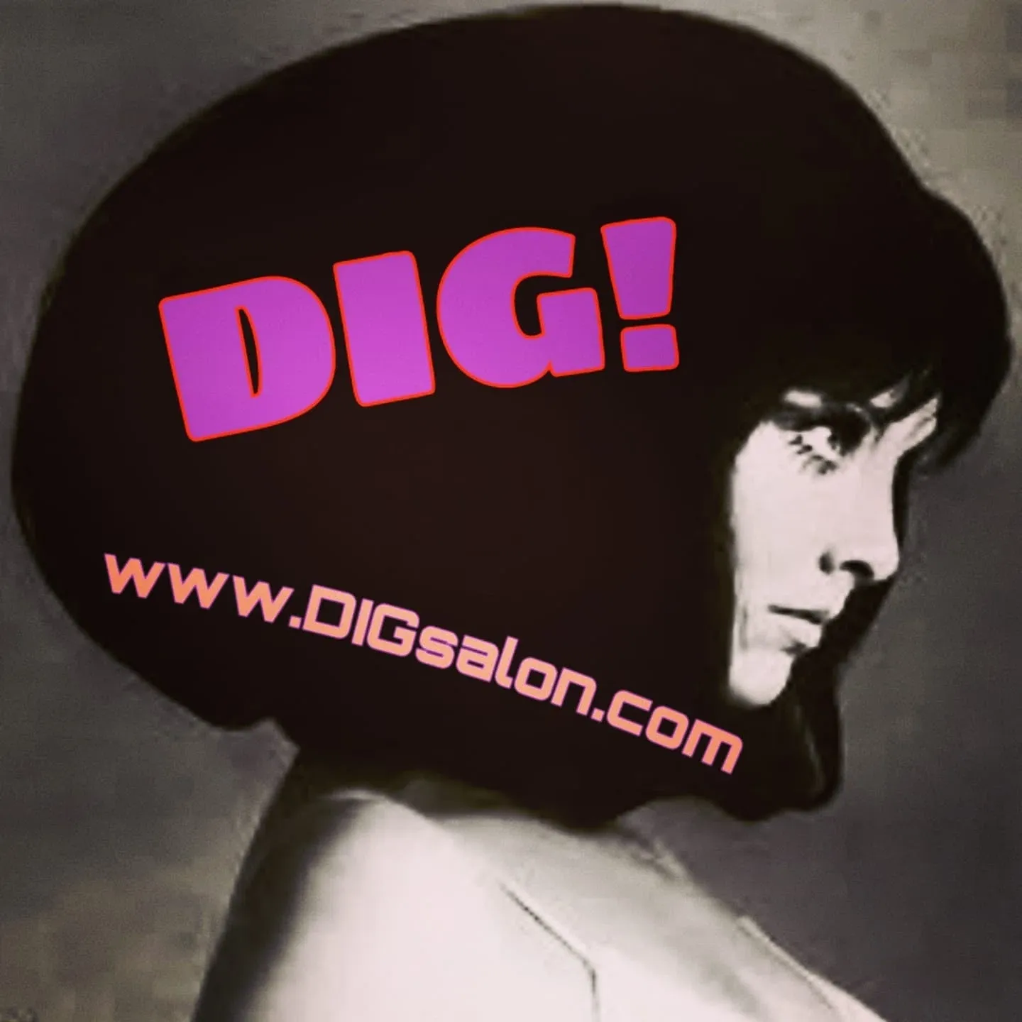 DIG Salon