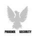 phoenix-security.co.uk