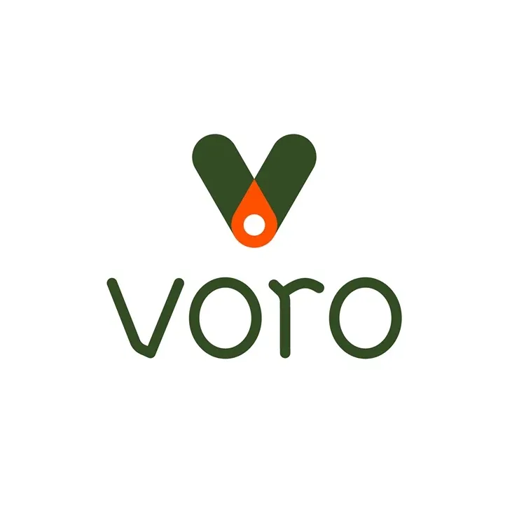 Voro Motors