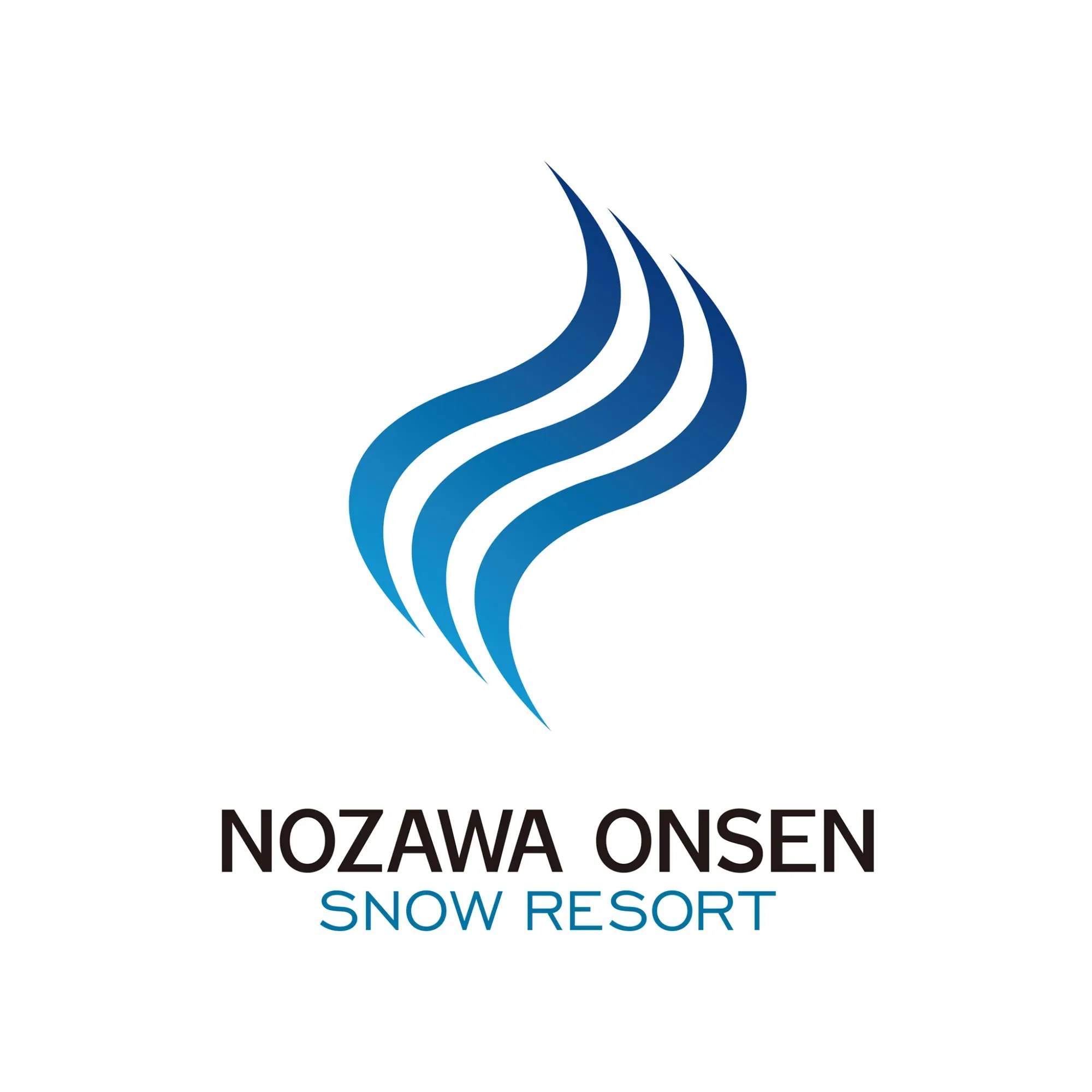 en.nozawaski.com