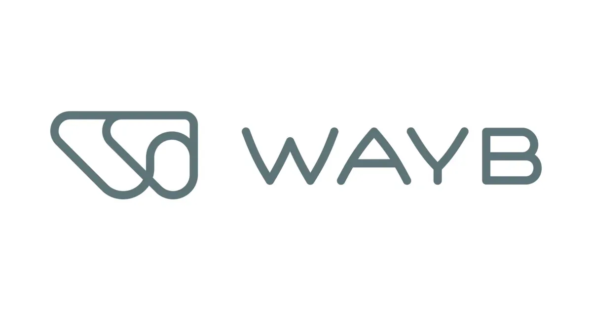 wayb.com