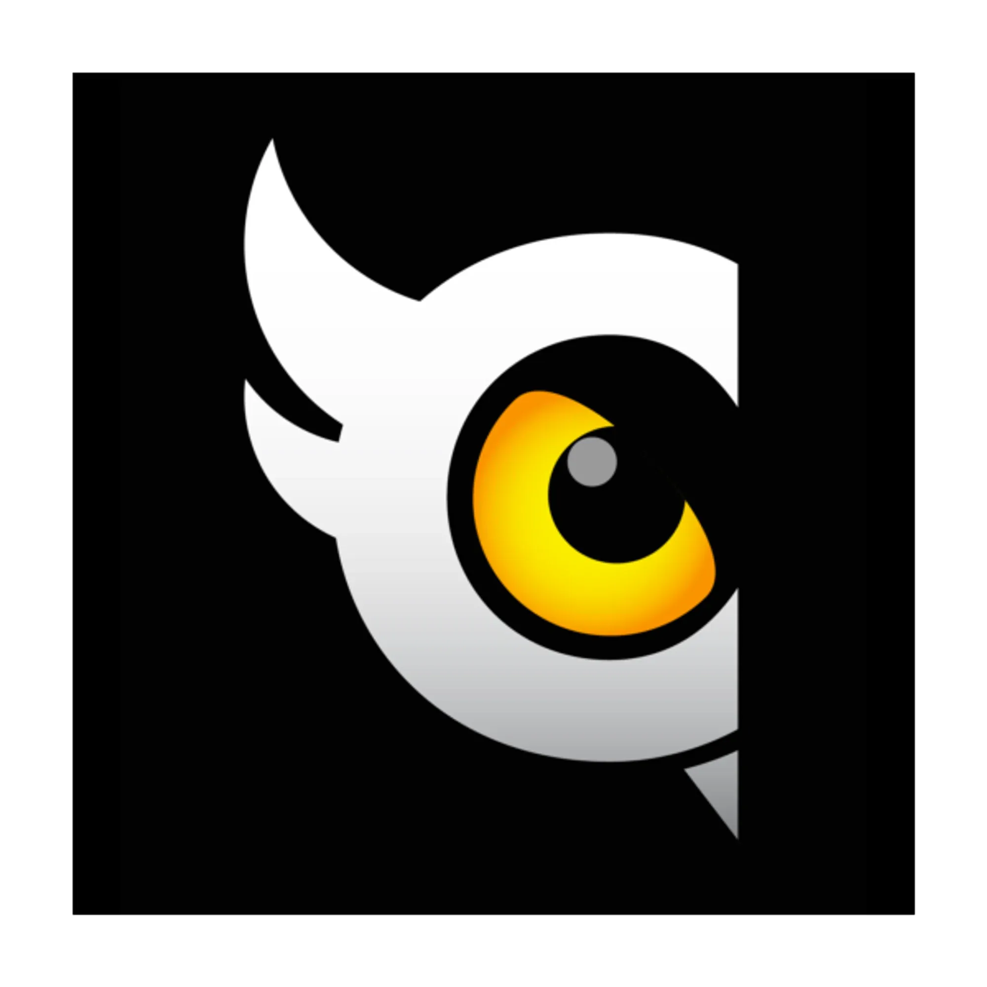 cloudowl.com