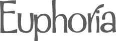 euphoriasalonspa.com