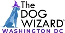 The Dog Wizard