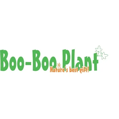 Boo-Boo Plant