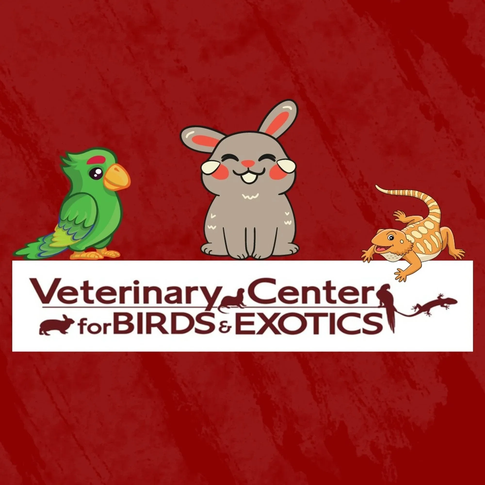 Veterinary Center for Birds & Exotics