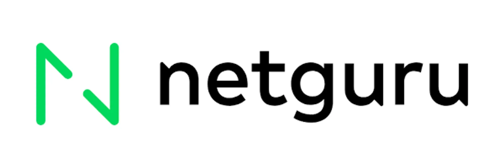 netguru.com