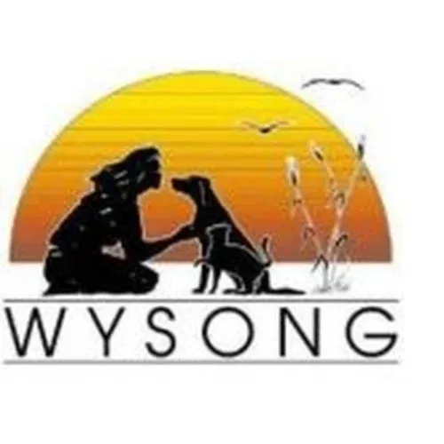 Wysong